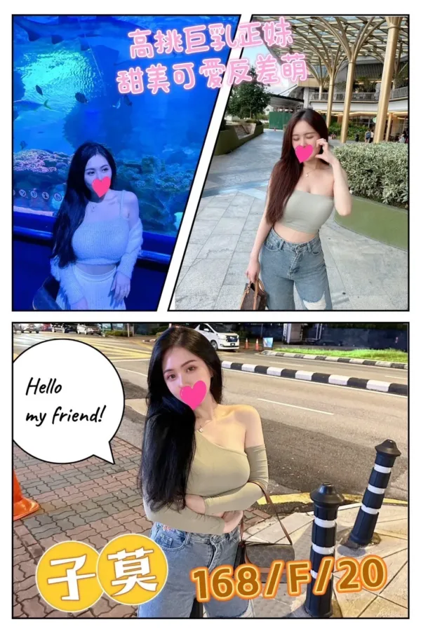 台北外送茶-子莫 台北外送茶-子莫