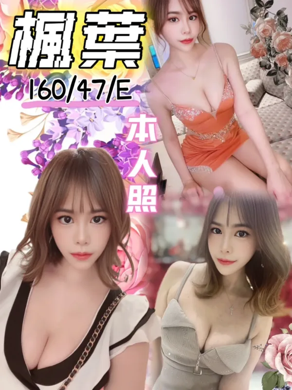 台中定點茶-楓葉 台中定點茶-楓葉