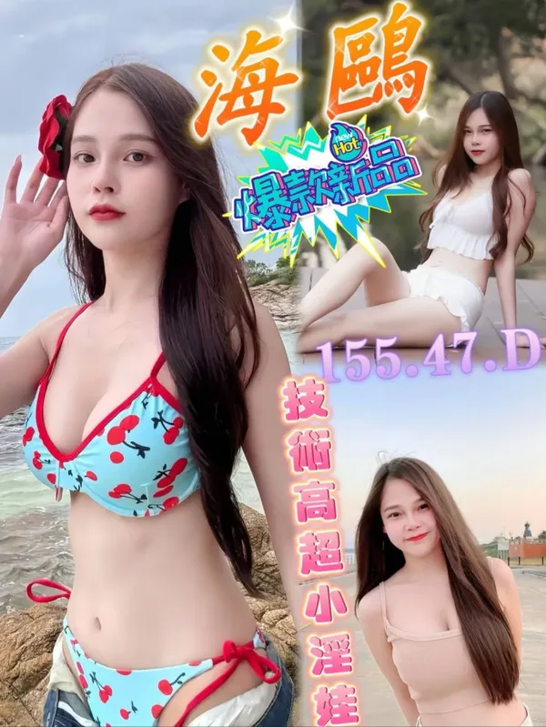 台南定點茶-海鷗 台南定點茶-海鷗